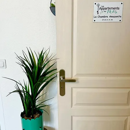 Du Mas - Amazonite 公寓 *