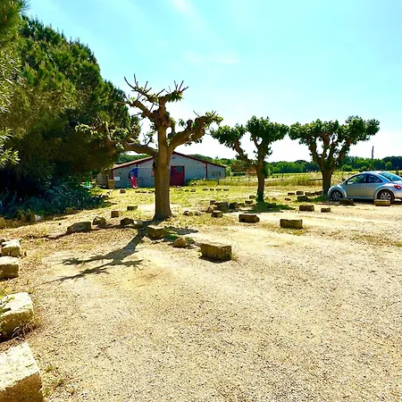 Du Mas - Amazonite 公寓 Saint-Laurent-dʼAigouze