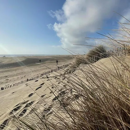 Du Mas - Amazonite 公寓 Saint-Laurent-dʼAigouze