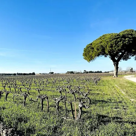 דירה Du Mas - Amazonite *