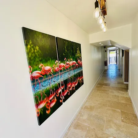 公寓 Du Mas - Amazonite *