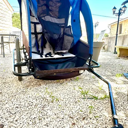 Du Mas - Amazonite *