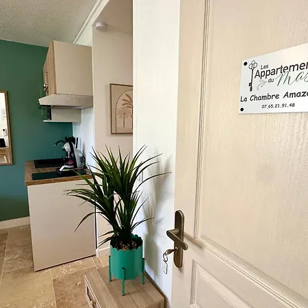 Du Mas - Amazonite Apartman Saint-Laurent-dʼAigouze