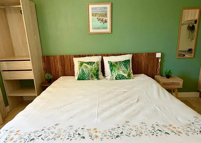 Du Mas - Amazonite Appartement Saint-Laurent-dʼAigouze
